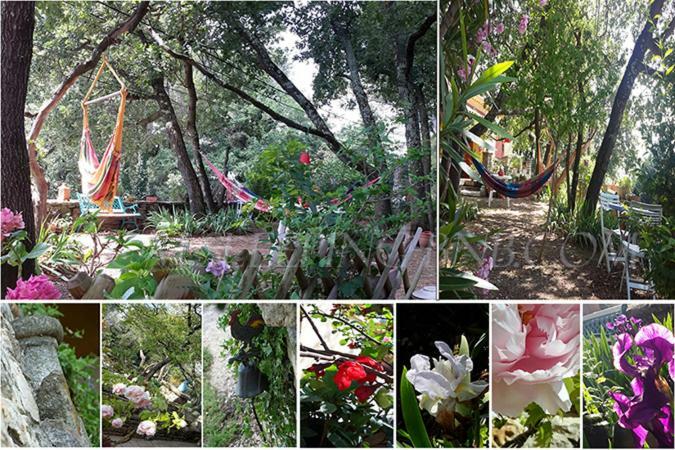 Om'Sleeping B&B Laudun Dış mekan fotoğraf